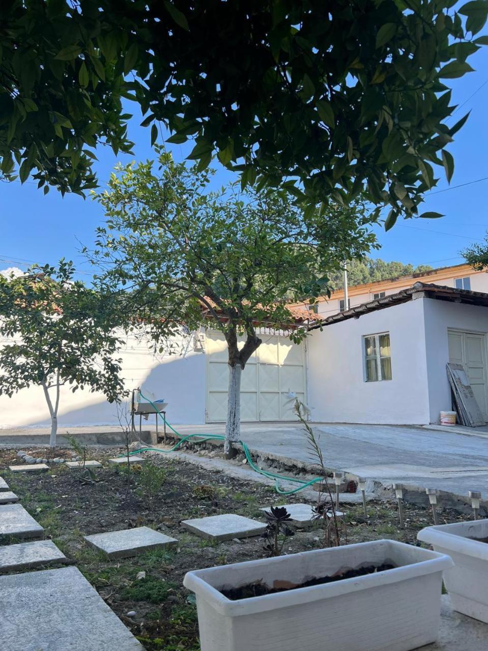 Berat Private Room In Haxhialiu Villa Ngoại thất bức ảnh